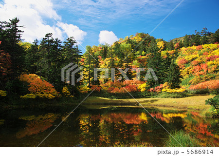 大雪山 高原沼登山コース 滝見沼の紅葉 大雪山 高原沼登山コース 滝見沼の紅葉 5686914