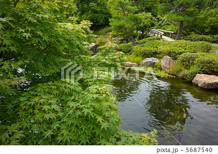 白鳥庭園 5687540