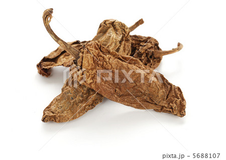 チレ・チポトレ チレ・チポトレ 5688107