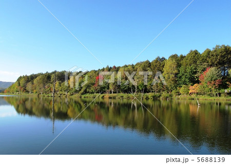 女神湖の紅葉 5688139