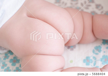 おしり おしり 5688404