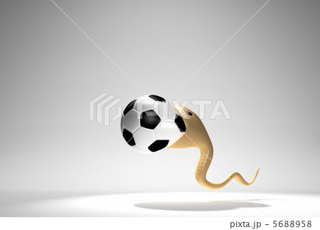 サッカーボールを呑み込むヘビ 5688958