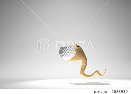 ゴルフボールを呑み込むヘビ 5688959