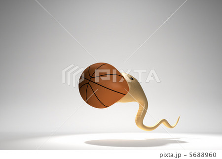 バスケットボールを呑み込むヘビ 5688960