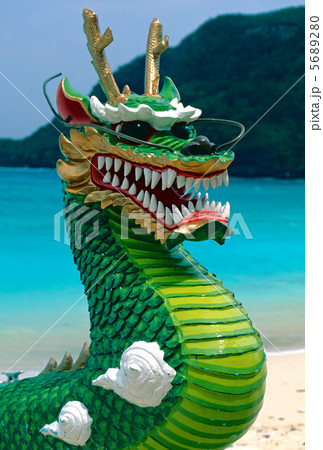 南国の龍 5689280