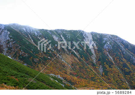 秋の伊那前岳 5689284