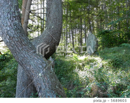 飯沼の一里塚 5689603