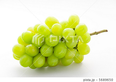 ロザリオビアンコ 5689650