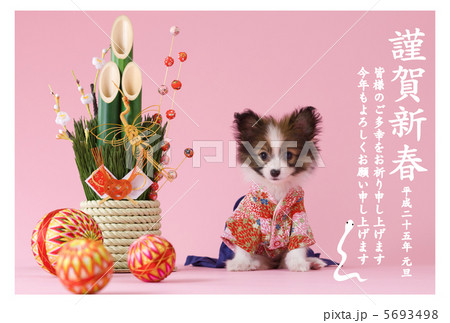 2013年賀状デザイン素材-子犬 2013年賀状デザイン素材-子犬 5693498