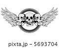 Skulls and wing 5693704