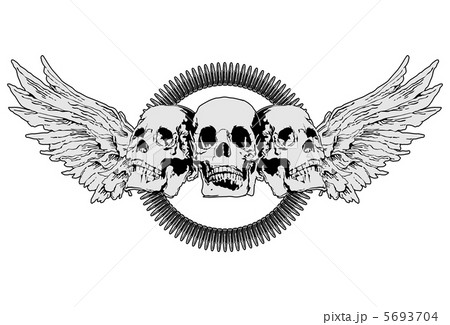 Skulls and wing 5693704