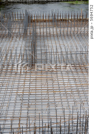 ベース筋 ベース筋 5694752