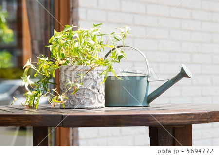 植木と如雨露 植木と如雨露 5694772