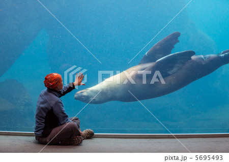 Sea life Sea life 5695493