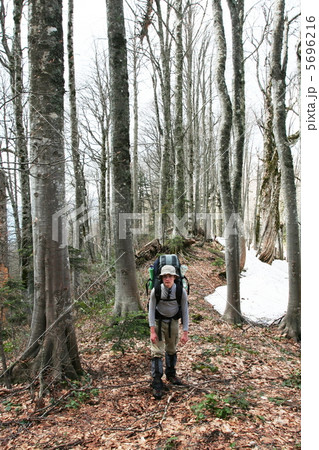 Hike in forest 5696216
