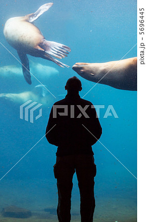 Sea life Sea life 5696445