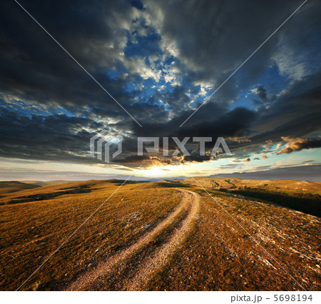 Road in field 5698194