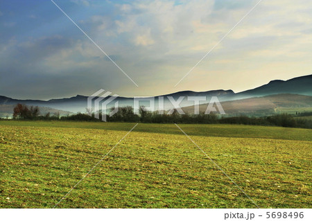 Field Field 5698496