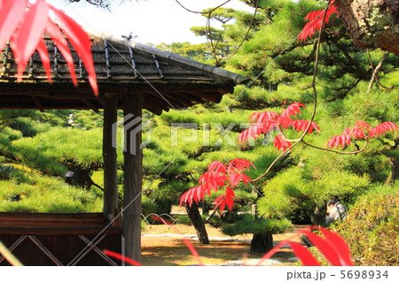 玉藻公園 玉藻公園 5698934