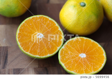 半分にカットした甘くて美味しい早生みかん 5699456