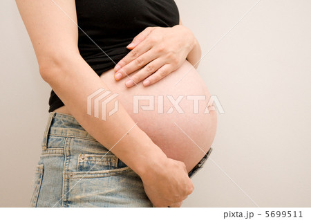 マタニティ 5699511