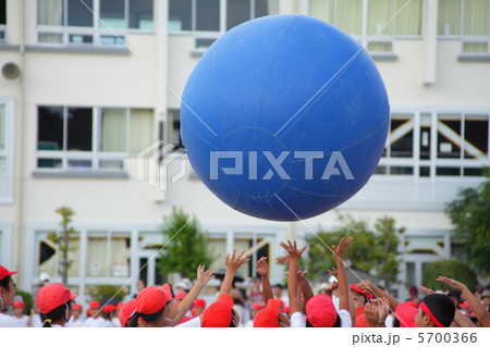 大玉おくり 5700366