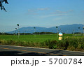 霧島の茶畑 5700784