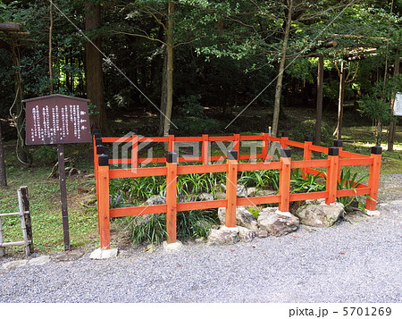 大原野神社瀬和井 大原野神社瀬和井 5701269
