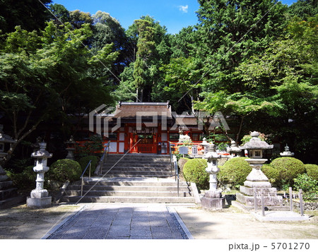 大原野神社 大原野神社 5701270
