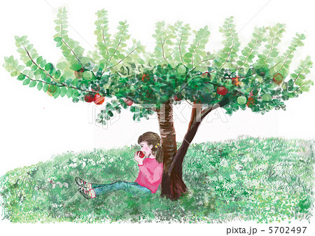 ニュートンのリンゴの木のイラスト素材