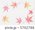 もみじ もみじ 5702788