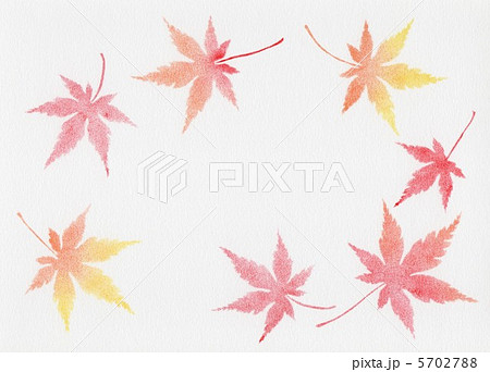 もみじ もみじ 5702788