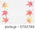 もみじ もみじ 5702789