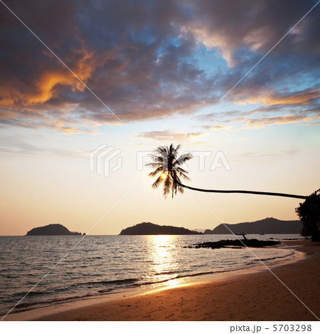 Tropical beach Tropical beach 5703298