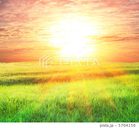 Field on sunset Field on sunset 5704150