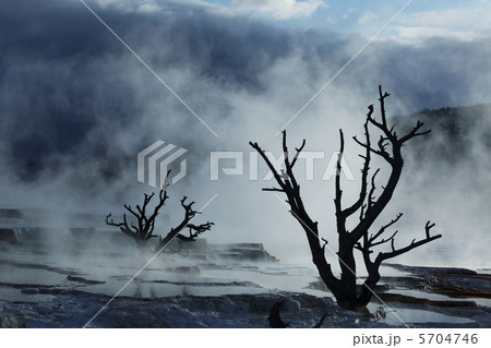 Mammoth hot spring in Yellowstone 5704746