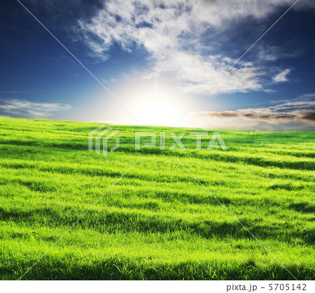 Grassland Grassland 5705142