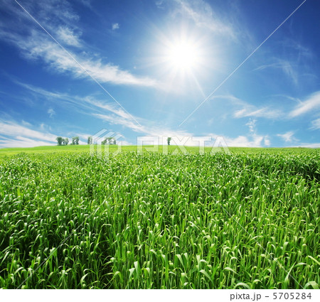 Field and sky 5705284