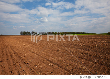 Spring field 5705460
