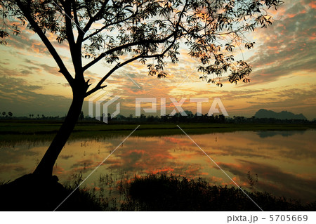 River on sunset 5705669