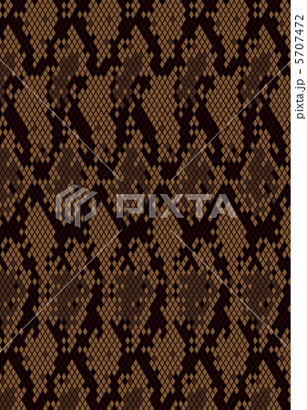 蛇柄3のイラスト素材