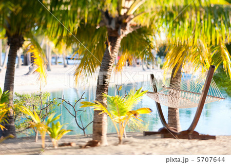 Hammock on the beach Hammock on the beach 5707644