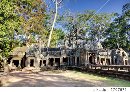 Ta Prohm 5707675