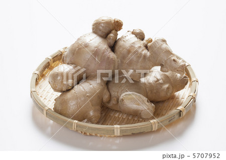 土しょうが 土しょうが 5707952