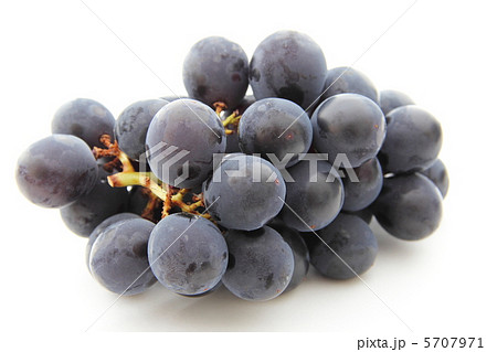 巨峰 巨峰 5707971