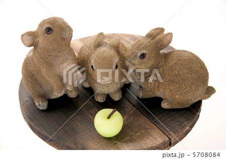 かわいい野うさぎの人形 5708084