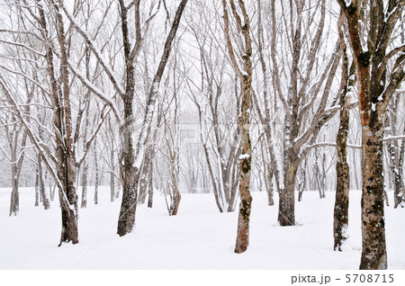 冬景色 冬景色 5708715