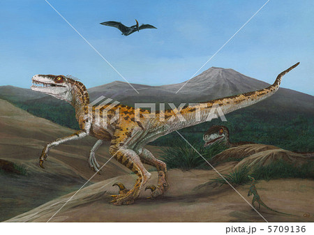 毛のないダイナ 5709136