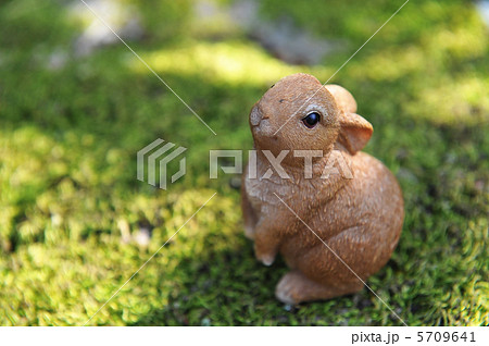 かわいい野うさぎ人形 5709641