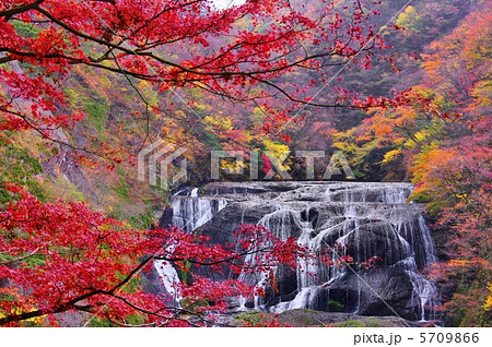 袋田の滝　紅葉 5709866